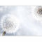 murando - Papier peint panoramique moderne 300x210 cm - Revêtement mural décoration pour chambre salon - Design unique et moderne - Beige gris - Pissenlits fleurs nature plantes 10110906-56