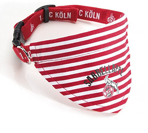 1. FC Köln Hunde Halsband MIT DREIECKTUCH Tuch Gr. L