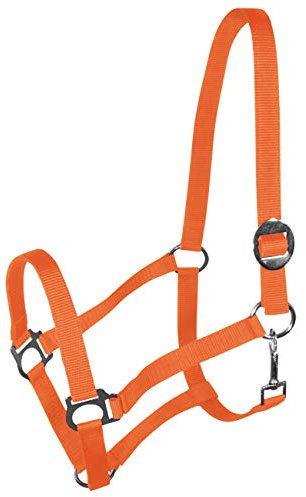 York Nylonhalfter Halfter Genickstück Verstellbar durch Schiebeschnalle Harmony Pferdehalfter (Cob, orange)