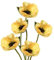 5 Stück Kunstblumen Künstliche Mohnblume Blumen Seideblumen Kunstpflanzen Dekoblumen Höhe 72cm, Ø 10cm