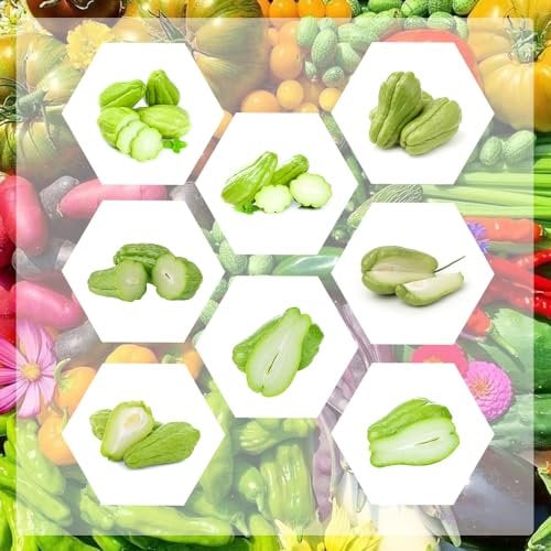 30 pcs chayote samen kaufen, bio samen gemüse alte sorten, balkonpflanzen (Sechium edule) garten pflanzen, ostergeschenke balkon garten, samen alte sorten samen gemüse, balkonpflanzen