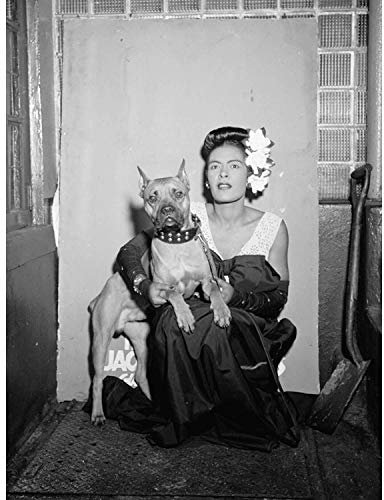 Bumblebeaver Old Photo Portrait Blues Jazz Singer Billie Holiday USA Poster Print Foto Porträt Blau Urlaub Vereinigte Staaten von Amerika