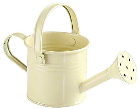 NZXVSE Arrosoir en métal, mini pot d'eau de jardinage pour enfants, seau d'arrosage en fer pour plantes d'intérieur et d'extérieur, beige
