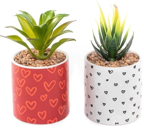 Rocking Gifts Kaktus in Herzform, 2 Modelle, 9 cm