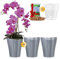 Garten lux 3er-Set Orchideentöpfe Anthrazit Ø16cm 2L mit 3er-Set Orchideentöpfe mit Drainagelöchen Ø14cm 1L aus Kunststoff und Tongranulat 2,5L für den Innenbereich