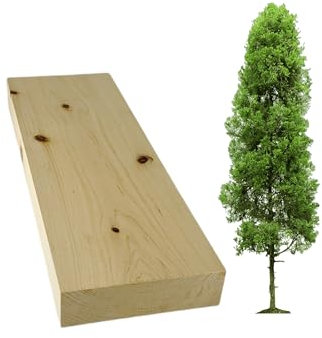 ARMLAZER Blocchi di Legno Morbido per Intaglio, Pezzi Profumati di Legno di Cipresso Toscano, Blocchi di Legno Artigianato (1 pezzo 3x10x30)