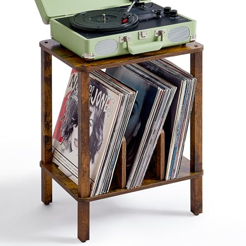 LELELINKY 2-Tier Plattenspieler Stand mit Vinyl-Schallplatten Lagerung bis zu 100 Alben, Schlafzimmer Plattenhalter und multifunktionale End-Tabelle für Wohnzimmer, braun
