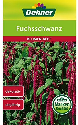 Dehner Blumen-Saatgut, Fuchsschwanz, 5er Pack (5 x 1.2 g)