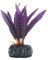 Betta Realistic Silk Artificial Aquarium Plants ~ 10cm Silk Purple Crypto Balansae