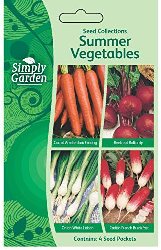 Vegetable Seeds Variety Pack – Carrot Seeds, Beetroot Seeds, Radish Seeds & Onion Seeds for Home Gardening | 400+ Seeds