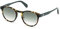 adidas Originals - Sonnenbrille für Herren OR0008-H - Form rund, Farbe farbiges Havana, Gläsern farbe schattiertes Grün