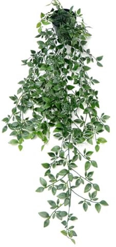 Uposao Plantes Artificielles Suspendues Feuilles D'eucalyptus avec Pots 56cm 65cm 80cm Long Plante Tombante Artificielle en Pot Lierre Artificielle Fausse Plante Deco pour La Maison Jardin