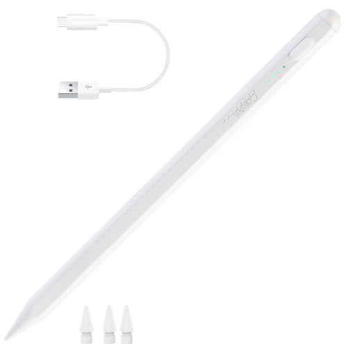 Callstel Penna per iPad: Penne Attivo con rifiuto del Palmo, per iPad PRO/Air/Mini 2018-2023 (Matita, Penna Tablet, Cuscinetto)