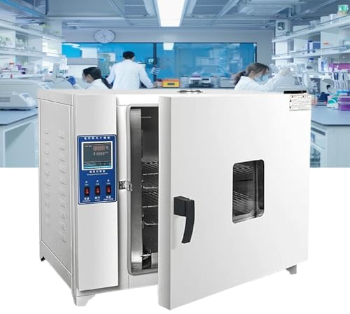 Four de séchage de laboratoire, sous vide et convection numérique à air forcé, pour un séchage et un chauffage efficaces dans les laboratoires et l'industrie
