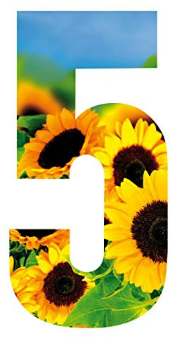 WHL Pack of 3 Wheelie Bin House Numbers - Sunflower Number 5