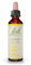 FLEURS DE BACH ORIGINAL - Gorse No 13 - Pour plus d'espoir - Aide à être plus optimiste et de foi - Élixir floral naturel pour le bien-être émotionnel - Compte-Gouttes 20ml - Vegan