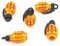 dual optimax 3000 Ventilkappe Gold Handgranate Granate 5 Stück Ventilkappen 5er Set