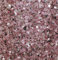 Eurosand Spiegelgranulat rosa 1-4mm Körnung 1kg