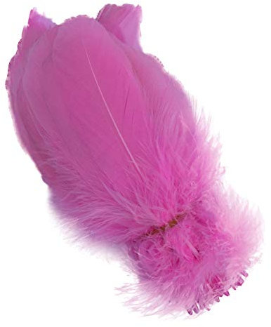 Sowder Natural Goose Feathers Clothing Accessories Pack of 100(Pink)