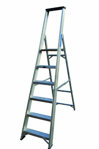 Lyte 6 Tread Platform Stepladder (with tool tray) BS2037 Class1