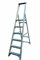 Lyte 6 Tread Platform Stepladder (with tool tray) BS2037 Class1