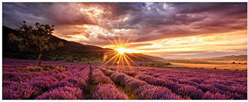 Wallario Glasbild Lavendelfeld bei Sonnenuntergang - Sonnenstrahlen - 50 x 125 cm Wandbilder Glas in Premium-Qualität: Brillante Farben, freischwebende Optik