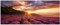 Wallario Glasbild Lavendelfeld bei Sonnenuntergang - Sonnenstrahlen - 50 x 125 cm Wandbilder Glas in Premium-Qualität: Brillante Farben, freischwebende Optik