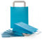 Logbuch-Verlag 100 kleine blaue Papiertragetaschen Kraftpapier Taschen Kundentüten aus Papier 18 x 8 x 22 cm Geschenke Mitarbeiter Kunden
