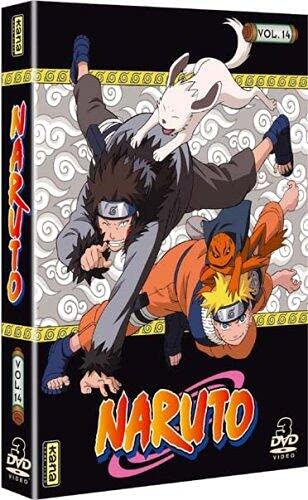 Naruto, vol. 14 [FR Import]