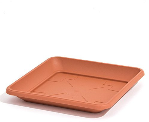 Terra-cotta Couleur Plastique Soucoupe Terra carré 17 cm avec support pour pot de fleurs