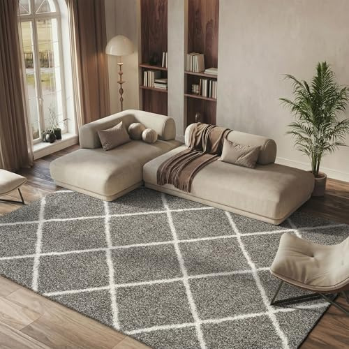 SAFAVIEH Hudson Shag Collection Area Rug - 6' x 9', Grey & Ivory, Modern Diamond Trellis Design, Non-Shedding & Easy Care, 2-inch Thick Ideal for High Traffic Areas in Living Room, Bedroom (SGH281B)