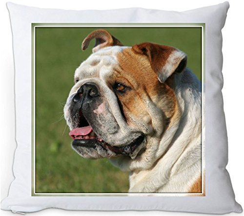 +++ Englische BULLDOGGE - Kuschelkissen/KISSEN | PILLOW/Dekokissen - EBD 02