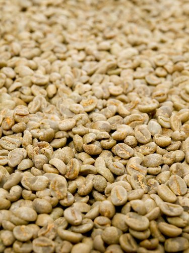 Classic Caffee - Rohkaffee, Ganze Bohne: Costa Rica Tarrazu (1 kg)