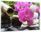Wandbilder Dekoration Wohnzimmer Orchidee Bambus Dekoration Spa Bilder auf Glas 120x80cm Glasbild Schlafzimmer Küche Deko Wand Kunstdruck Art Groß XXL Wanddeko Bild im Glas Modern GAA120x80-2666