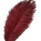 Sowder 10pcs Strauß-Federn 12-14inch (30-35cm) für Haupthochzeits-Dekoration (Burgund)