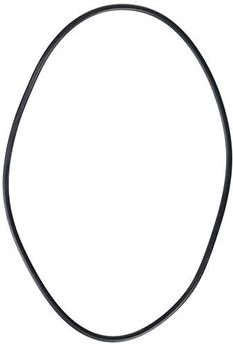 Hayward SPX1705Z1 Logement O-Ring Joint pour SP1700 PowerFlo II Pompe de Piscine
