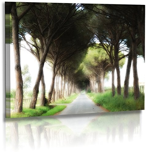 Premium - Acrylglas - Landschaftsbilder - Naturbilder -Baum Allee - Italien - Toskana - Maremma - Landschaft - Bilder - Wandbilder XXL - Bild - Acrylglasbild - Glasbild (120 cm x 80 cm)