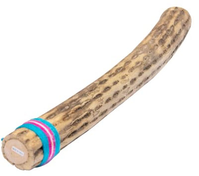 Fuzeau 3658 Regenmacher aus Kaktus, 50 cm