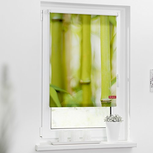 Lichtblick Rollo Tageslicht Blickdicht ohne Bohren 60 x 150 cm (B x L)