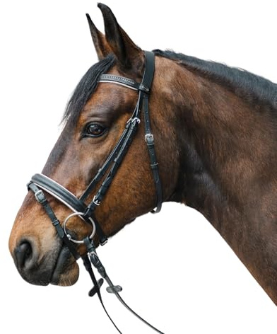 WALDHAUSEN Star Trensenzaum Diamond ENGL.Komb., weiß, Pony