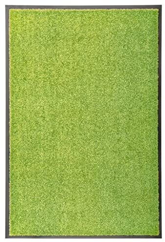 vidaXL Fußmatte Waschbar Schmutzfangmatte Türmatte Fußabtreter Schmutzmatte Schmutzfangläufer Sauberlaufmatte Innen Außen Grün 60x90cm