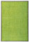 vidaXL Fußmatte Waschbar Schmutzfangmatte Türmatte Fußabtreter Schmutzmatte Schmutzfangläufer Sauberlaufmatte Innen Außen Grün 60x90cm