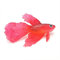 Générique Poisson Artificiel Silicone Faux Poisson Natation Artificielle Poisson Ventouse Ornement émulationnel pour Aquarium Rouge