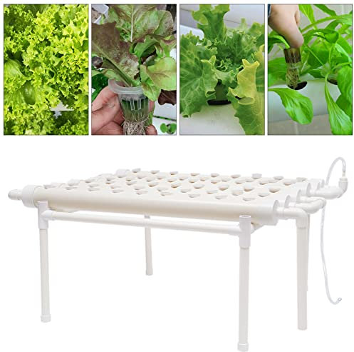 MEELRYD Hydroponic Site Grow Kit, 6 Rohre Erdlose Pflanzenanbau-Systeme 1 Layer 54 ​​Standorte Grow Hydrokultur Pflanzen Bewässerung System Garten für Haus Balkon