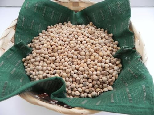 COVERBAGBCN Noccioli di ciliegia sfuse per imbottitura termica e artigianato. Naturali e puliti senza sostanze chimiche (900 Gr)