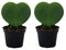 Set with 2 plants Hoya kerii - heart leaf plant, heart plant or little darling - in 6cm pot