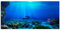 mvrople Fish Tank Decorations Background Sticker PVC Aquarium Background Adhesive Poster For Underwater World Cling Decals Pictures Wallpaper Backdrop Decoration Paper (61X30)