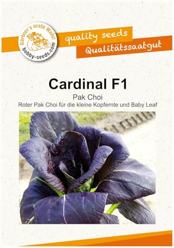 Kohlsamen Mini Pak Choi Cardinal F1 Portion