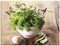 ARTland Wanddeko Glasbilder Wandbild Glas Bild einteilig 80x60 cm Querformat Stillleben Kräuter Gewürze Petersilie Mediterran T5QG