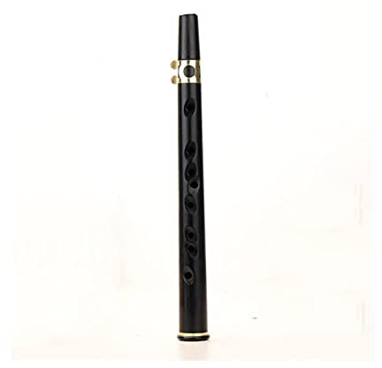 KESHUO Pocket Sax Alto C Tune Mini Sax Saxophon Wenig Sax Opphone Schwarz Mit Trägertasche Holzwind Instrument Blechbläser Saxophon Anfänger Kit
